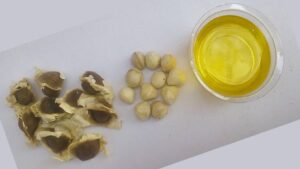 Moringa oil - moringa kernels
