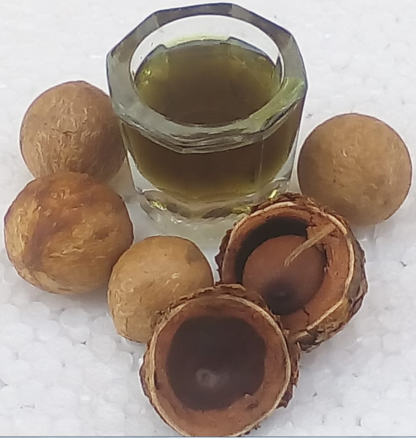 buy organic tamanu oil